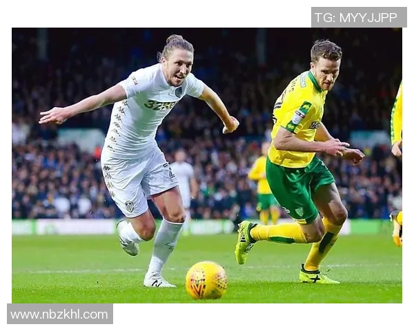 米德尔对桑德兰精彩直播全程回顾与赛后分析尽在此处