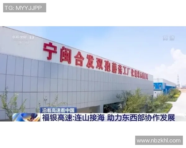 国际邀请赛分析：BLG团队协作如何助力夺冠之路