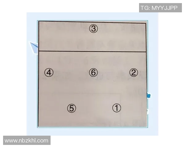 北京排球队的战术演变与球员转换深度解析