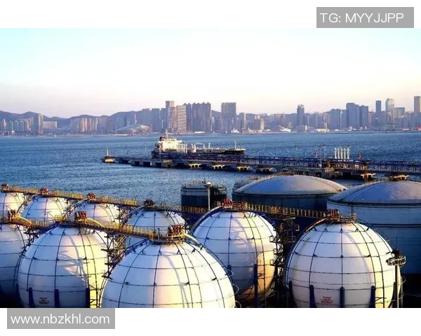 深度分析LNG产业链运营策略与市场趋势解读